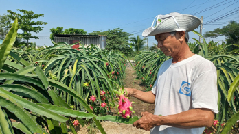 Nông dân nòng cốt trong xây dựng nông thôn mới