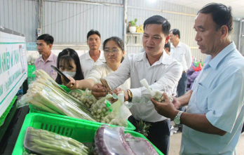 Liên kết trong sản xuất, tiêu thụ nông sản