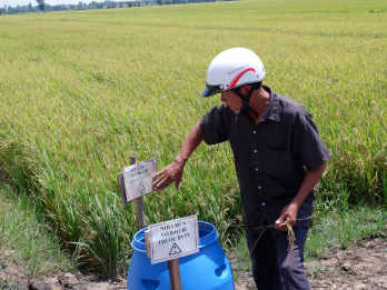 Kiểm tra, giám sát việc triển khai áp dụng VietGAP tại huyện Thạnh Hóa và Tân Thạnh