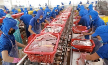 Fisheries sector takes advantage of market opportunities to well recover