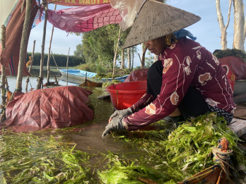 Hiệu quả từ mô hình phát triển kinh tế hộ gia đình