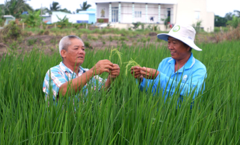 Sản xuất sạch - Hướng đi tất yếu (Kỳ 1)