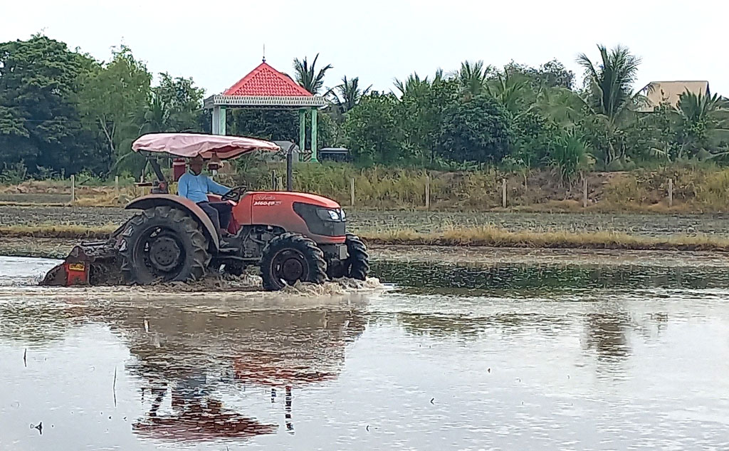 Tăng cường các biện pháp kỹ thuật trên đồng ruộng