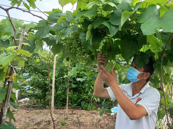 Long An với chương trình xây dựng nông thôn mới kiểu mẫu