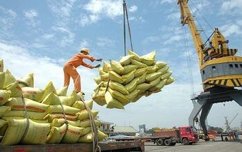 Vietnamese rice prices for export drastically increase