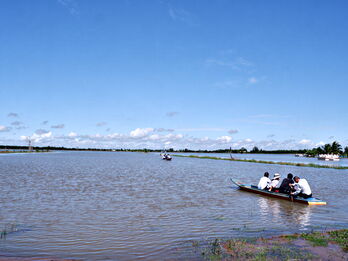 Ứng phó với hạn, mặn từ sớm