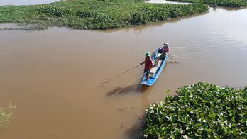 Kiên quyết xử lý việc khai thác thủy sản trái phép