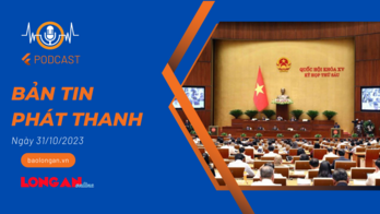 Bản tin phát thanh ngày 31/10/2023