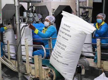 Vietnam’s export rice price reaches new peak