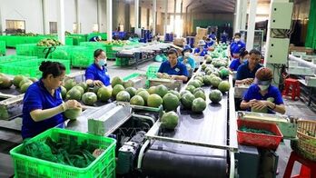 New record set in fruit, vegetable exports