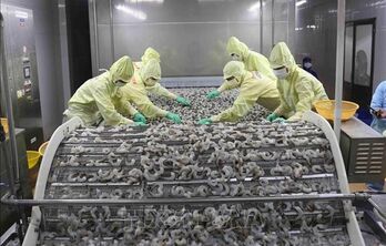 Vietnam aims to improve shrimp export competitiveness