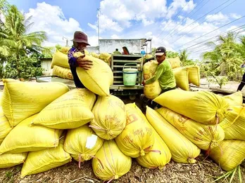 Cơn 'sốt giá' gạo sẽ kéo dài đến khi nào?