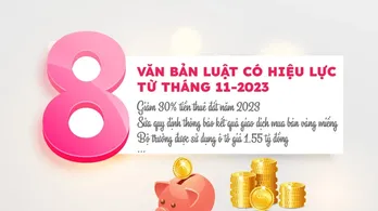 8 văn bản luật có hiệu lực từ tháng 11/2023