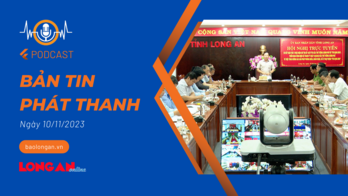 Bản tin phát thanh ngày 10/11/2023