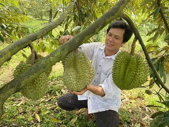 Thắng lớn, hàng loạt nông dân thành tỉ phú