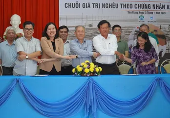 Nghêu Tiền Giang rộng đường xuất khẩu châu Âu