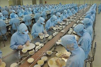 Vietnamese enterprises increase investment to seize bird’s nest export opportunities