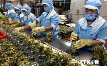 Great potential for Vietnamese goods to enter Africa, Middle East