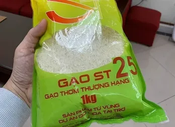 Gạo ST25 của Việt Nam lần thứ hai đạt giải gạo ngon nhất thế giới