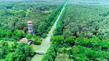 Tuần lễ du lịch Hậu Giang tái hiện lại hoạt cảnh 'Tình anh bán chiếu'