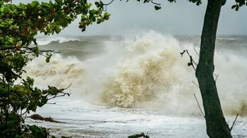 Australia: Bão lớn độ bộ vào thị trấn ven biển dọc Rạn san hô Great Barrier