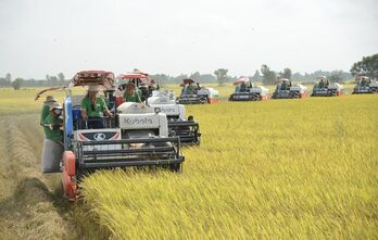 Rice exports expected to hit 5 billion USD this year