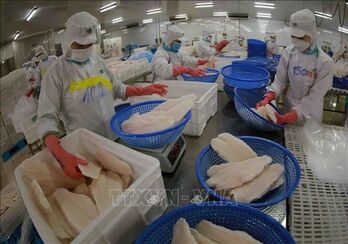 Vietnam targets 2 billion USD in tra fish exports in 2024