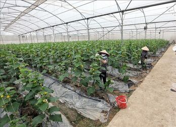 New strategy shapes plant cultivation growth to 2030