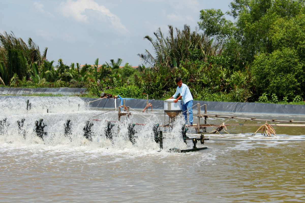 Phấn đấu tổng sản lượng nuôi trồng thủy sản năm 2024 đạt ít nhất 90.000 tấn