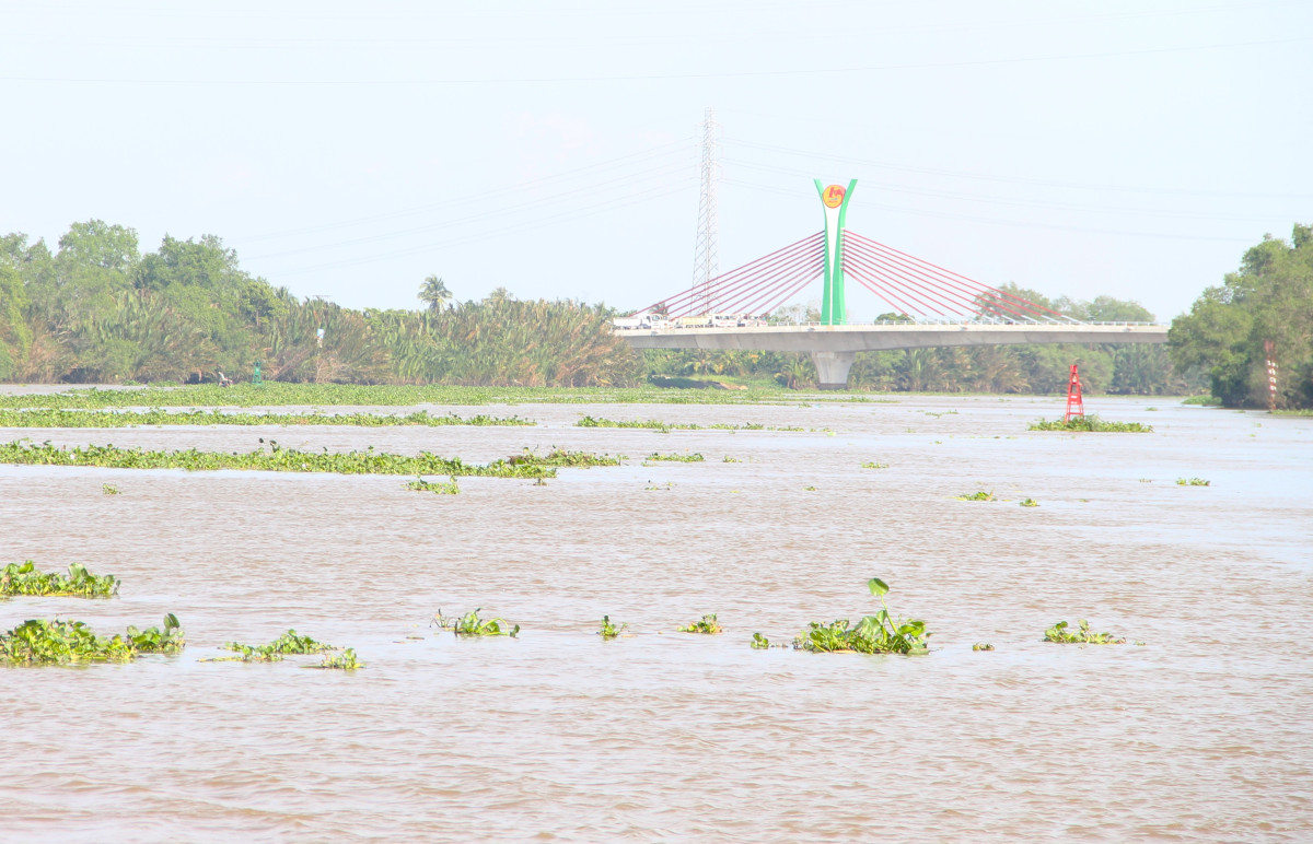 Độ mặn trên các tuyến sông trên địa bàn tỉnh đang tăng