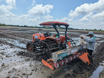 Long An to plant 1 million hectares of high quality rice