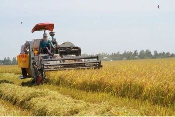 Vietnam, Canada hold huge cooperation potential in agriculture: Canadian insiders