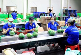 Exports of fruits, vegetables expected to grow by 15-20% in 2024