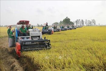 Agriculture sector sets new records amid global challenges