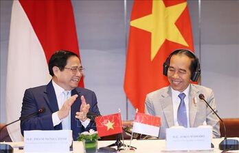 Vietnam, Indonesia eye stronger economic, trade ties