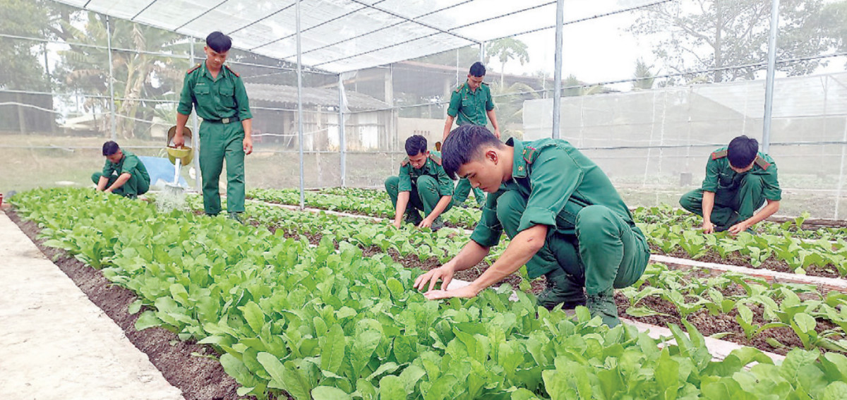 Cán bộ, chiến sĩ tăng gia sản xuất chuẩn bị nguồn thực phẩm sạch đón tết