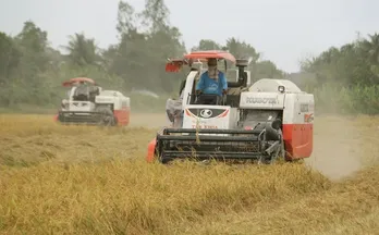 Giá tăng hơn 33%, xuất khẩu gạo thu gần nửa tỉ USD dịp đầu năm