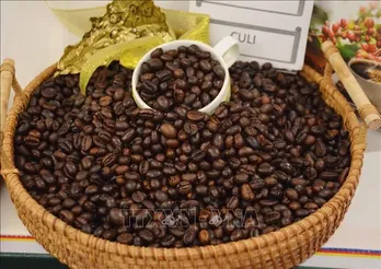 Inventories recover, causing coffee prices to drop sharply