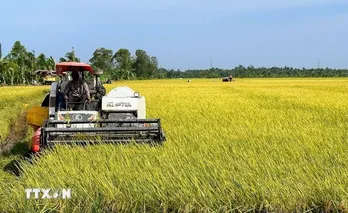 Vietnam seeks collaboration with Australia on sustainable agriculture