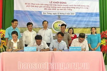 Soc Trang kicks off sustainable high-quality rice project