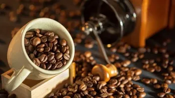 Vietnam's coffee prices on the rise