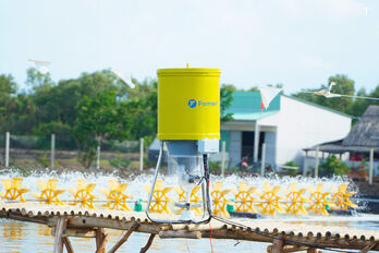 Tép Bạc giới thiệu máy cho tôm ăn tự động, thiết bị công nghệ được sản xuất tại Việt Nam