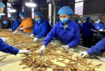 Vietnam's cinnamon exports hits over 96.3 million USD in five months