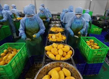 Japan helps Vietnam develop environmental management certification system in food industry