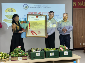 Seedless limes officially have Geographical Indication Certificate and Certification Mark 'Ben Luc - Long An'