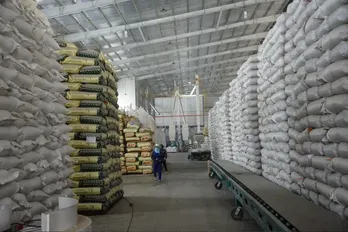 Vietnamese rice export prices stay high in H1