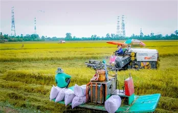 Circular agriculture - a game changer for rice industry