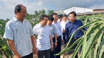 Ban Kinh tế Trung ương khảo sát thực hiện tín dụng chính sách xã hội tại huyện Châu Thành