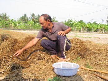 Khuyết tật nhưng không khuyết tài