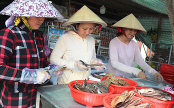 ‘Cá tôm sẵn bắt’ của vùng Đồng Tháp Mười